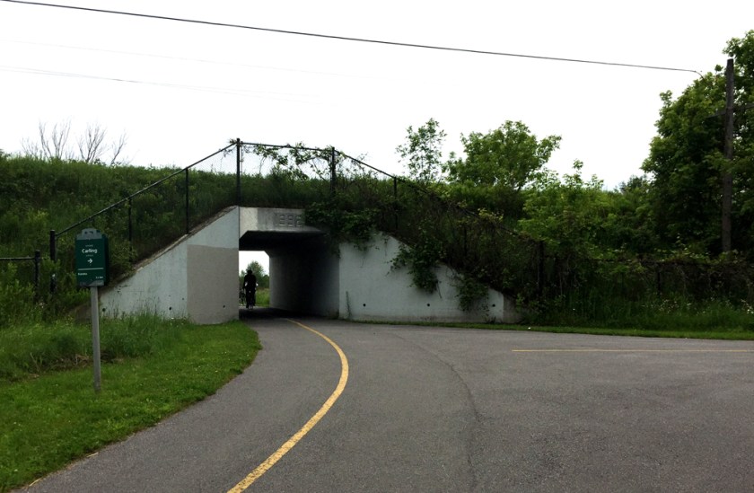 Path followed under train tracks