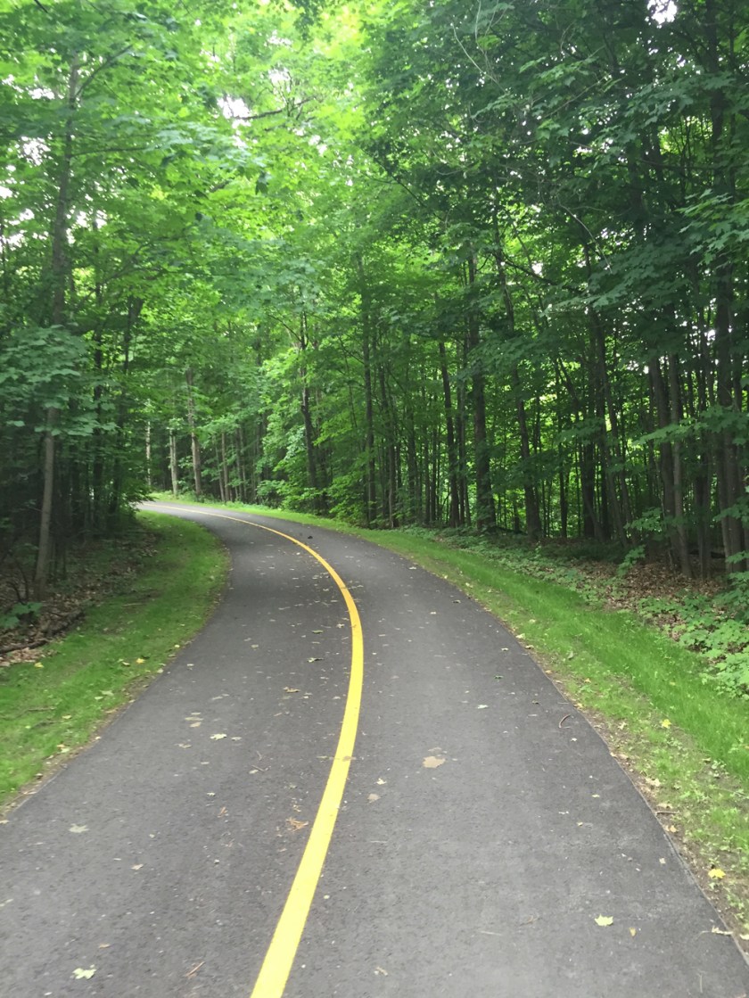 Watts Creek Pathway in a wooded spot