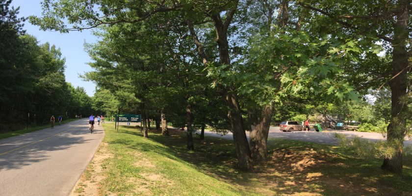 Pink Lake resting spot