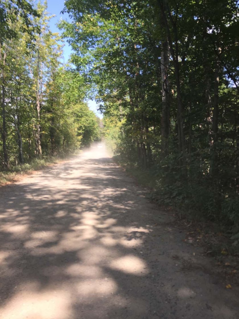 Between Barryvale and Tatty Hill Road