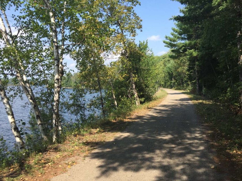 Typical width and condition of trail south of Tatty Hill Road