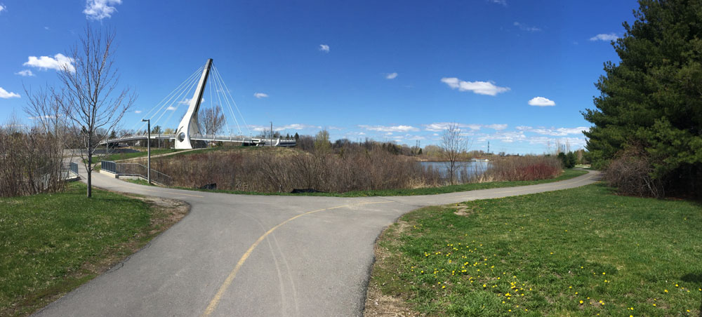 Sawmill Creek Pathway - I stayed right